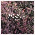 Wallows Spring LP Online Sale