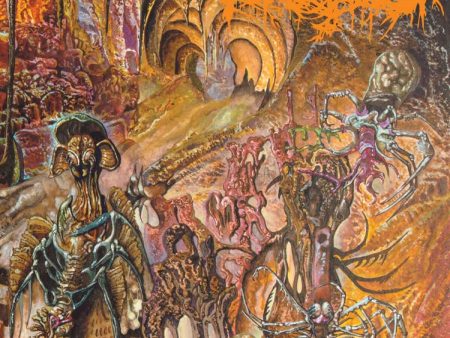 Tomb Mold Manor Of Infinite Forms Pressed on Limited Colored Vinyl LP Discount