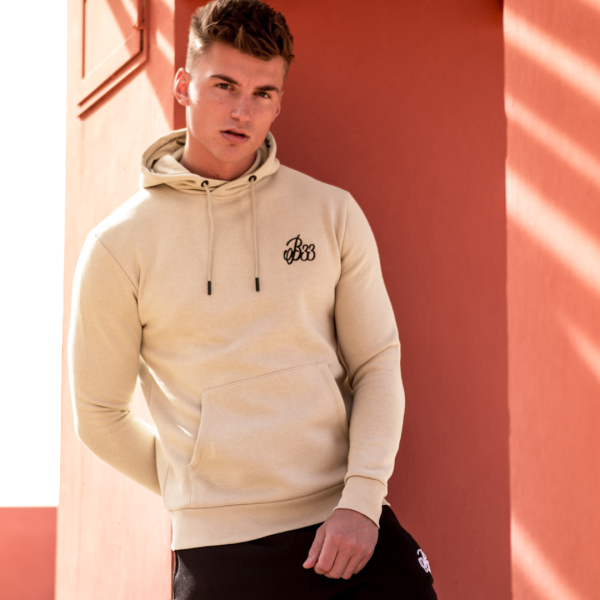 Signature Overhead Hoodie - Sand Online