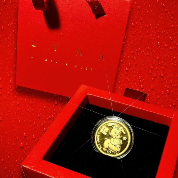 THE VAULT | 24K Pure Gold Coin (999.9au) Lucky Amulet For Cheap